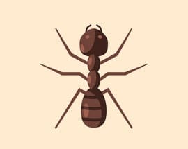 Control y gestión biológica de plagas de insectos con feromonas